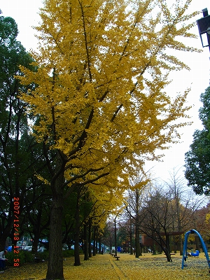 c0153732_2331794.jpg