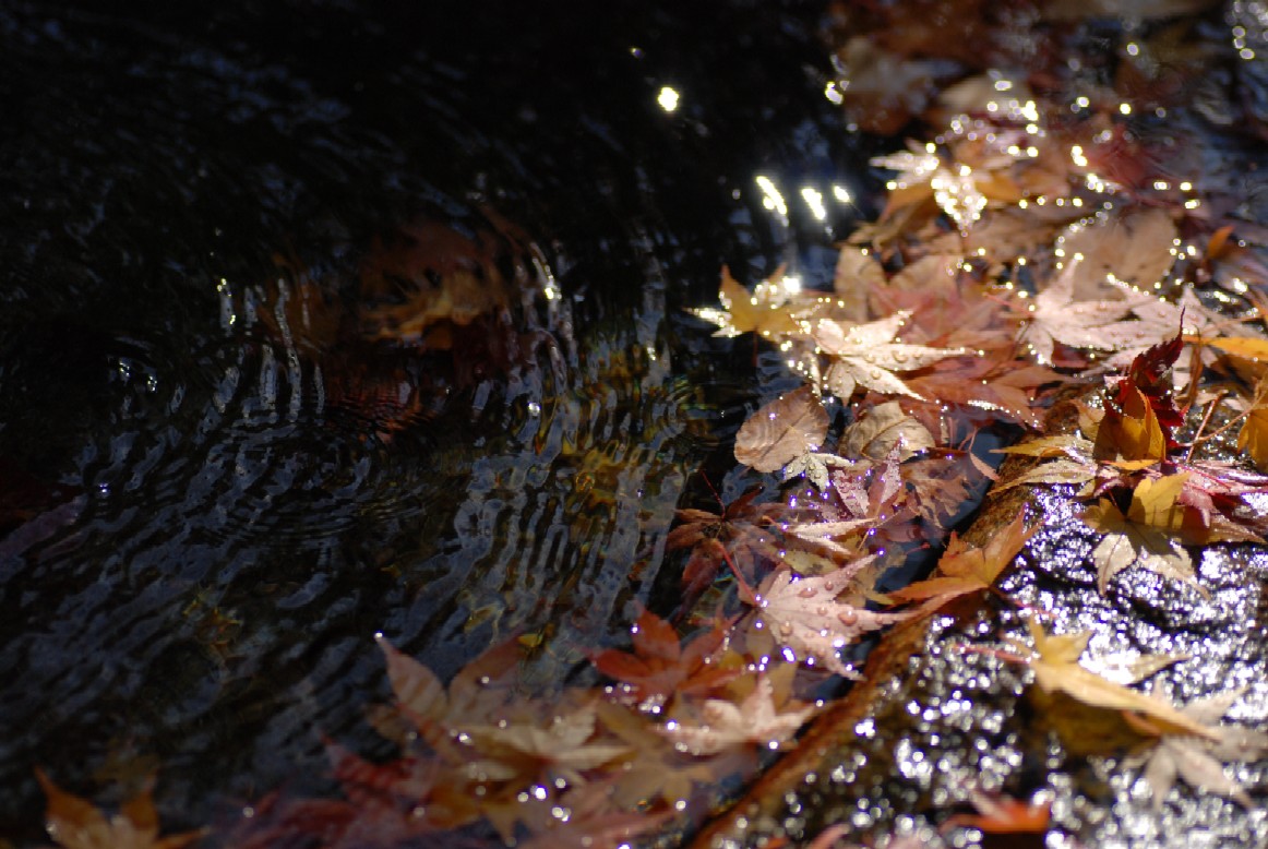e0009147_15535960.jpg