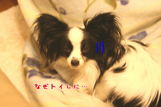 d0013149_2348338.jpg