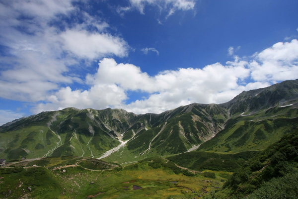 e0122855_173740.jpg