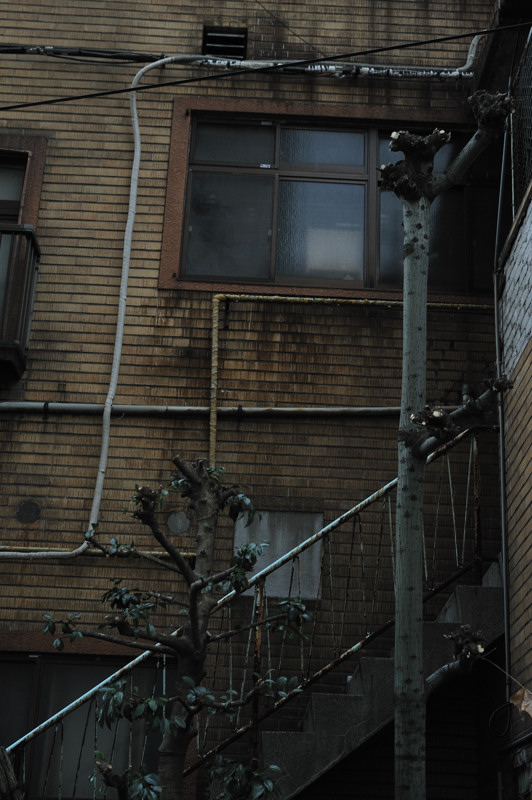 c0084666_1148097.jpg