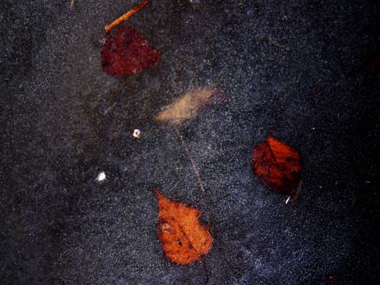 a0074469_21351846.jpg