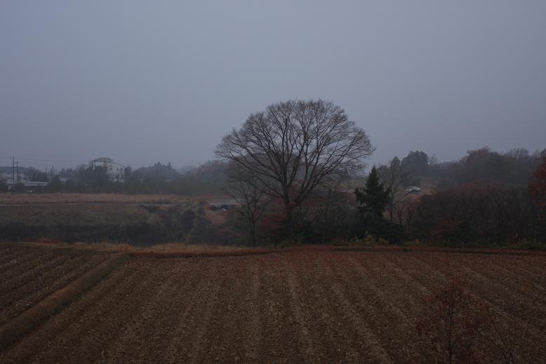 c0153672_2229225.jpg