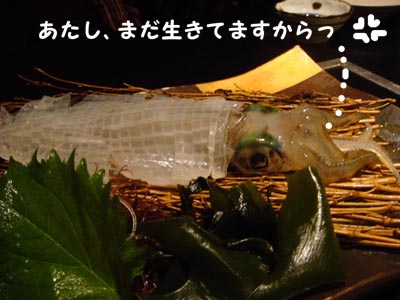 f0153479_13531927.jpg