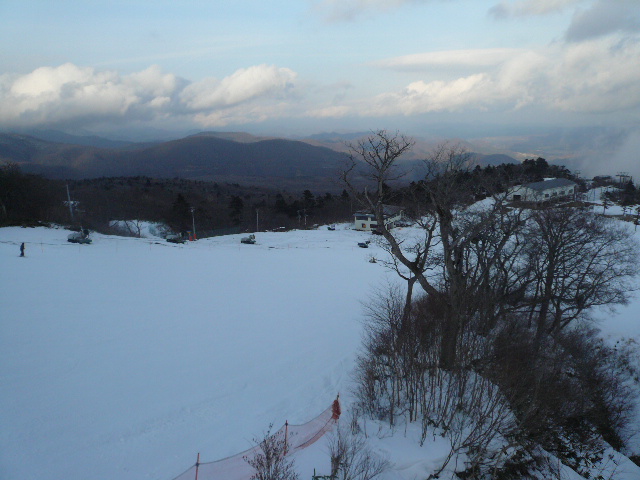 f0137481_20504126.jpg