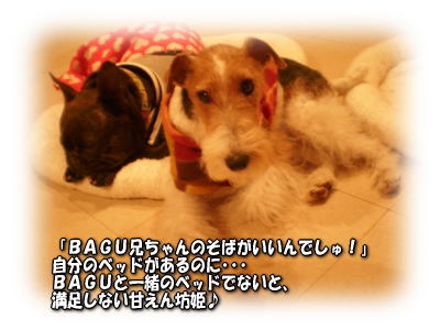 a0037682_20314061.jpg