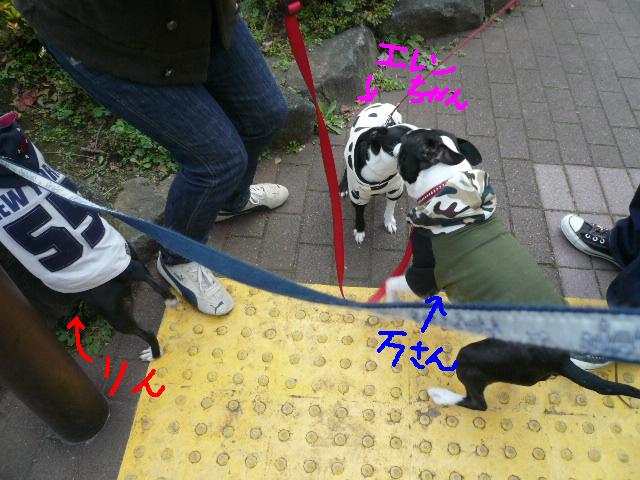 d0120282_18555224.jpg