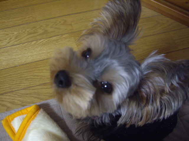 f0143386_2311158.jpg