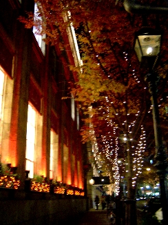 b0075888_12465587.jpg