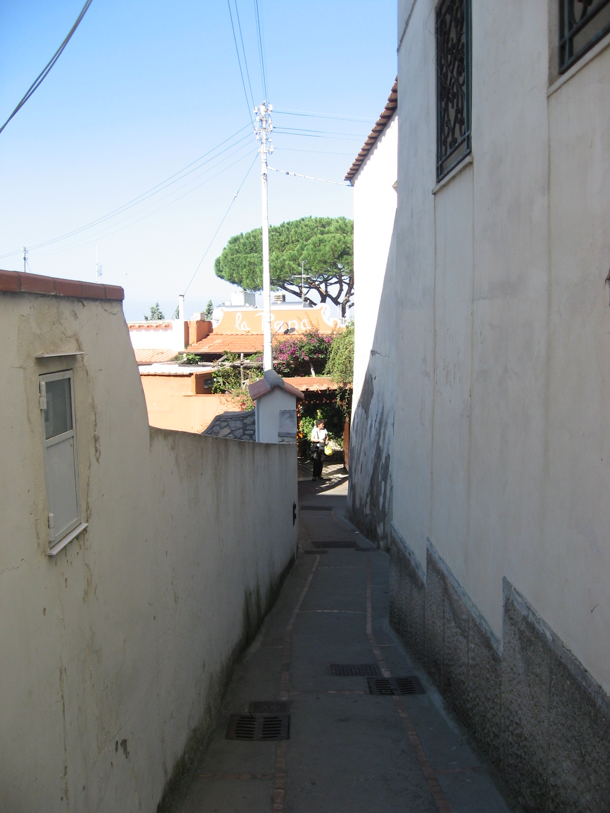 c0149788_0311574.jpg