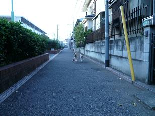 c0123890_204341.jpg