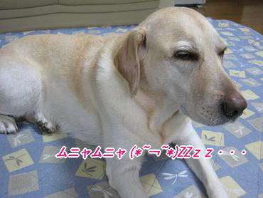c0028792_2056017.jpg