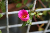 e0122194_13333622.jpg
