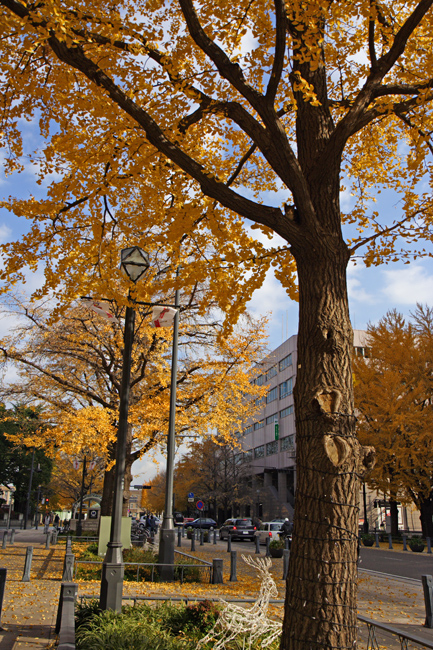 c0025895_1552730.jpg