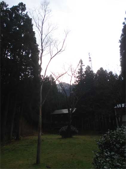 a0061599_817792.jpg