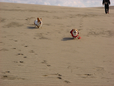 c0153410_14345792.jpg