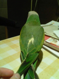 c0133013_23453733.jpg