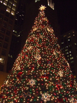 f0102814_12251168.jpg