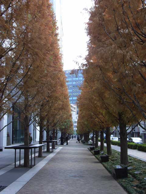 e0049318_11433296.jpg