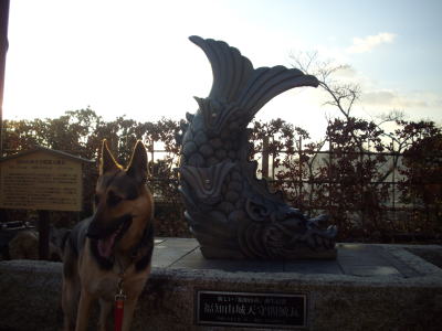 c0090220_11593417.jpg