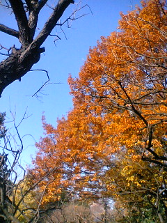 d0024220_2254610.jpg