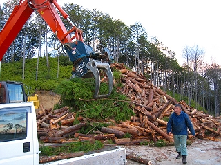 e0002820_20294044.jpg