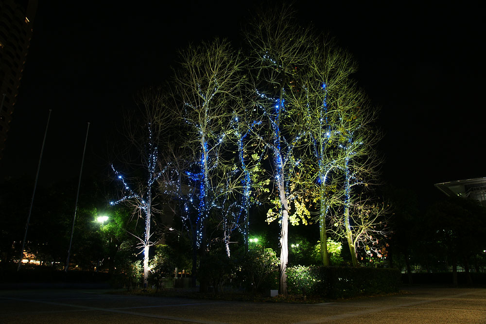 d0089024_209273.jpg