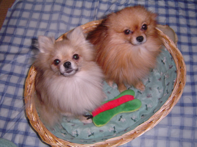 f0012924_983832.jpg