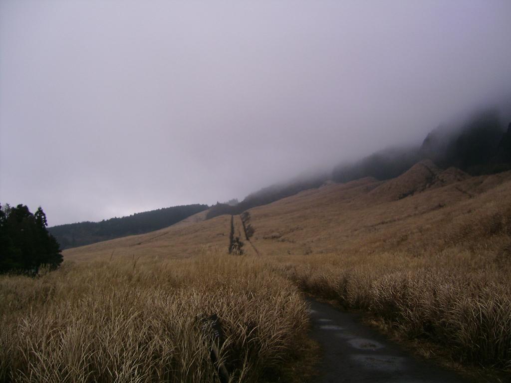 e0079435_2374763.jpg