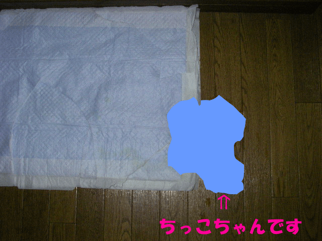 c0136838_1452790.gif