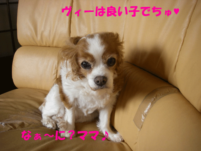 c0136838_159377.gif