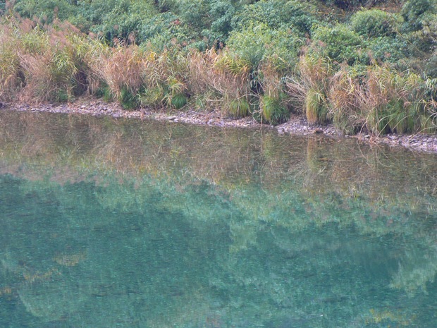 e0083238_22135566.jpg