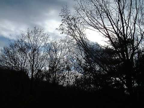 f0090444_23232456.jpg