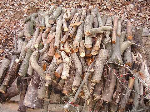 f0090444_23304491.jpg