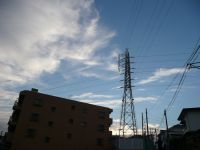 e0080345_872671.jpg