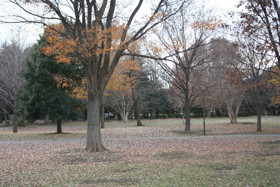 d0013149_22144254.jpg