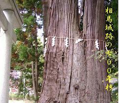 a0021554_1523190.jpg