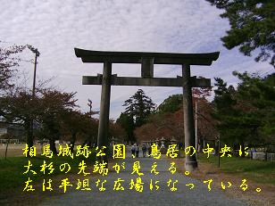 a0021554_1552672.jpg