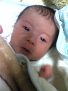f0136355_0251772.jpg