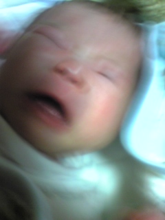 f0136355_0252312.jpg