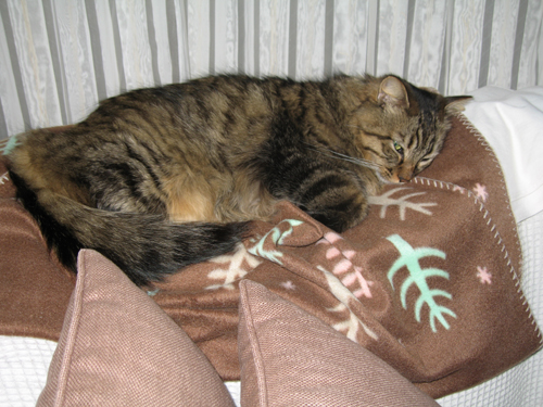e0057361_20394951.jpg