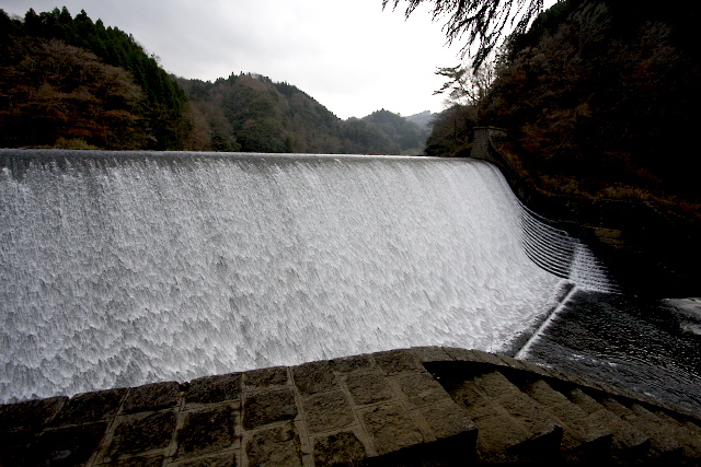 b0032262_23284478.jpg