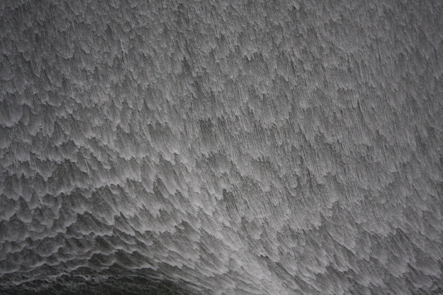 b0032262_2328628.jpg