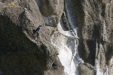 e0054067_1505739.jpg