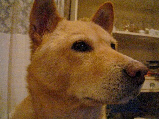 f0121167_022384.jpg