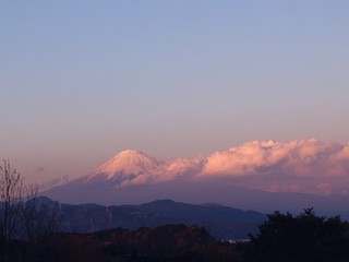c0001769_20202034.jpg