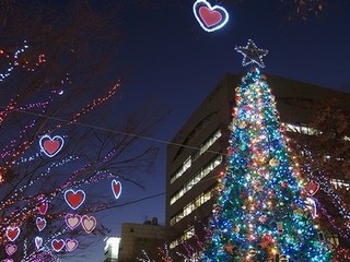 c0001769_2021076.jpg