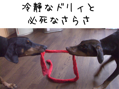 f0025769_1282034.jpg