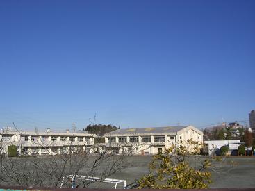 a0105570_150463.jpg