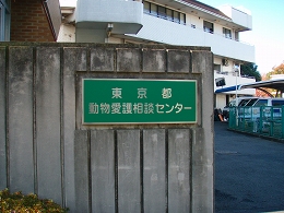 b0003270_22404235.jpg
